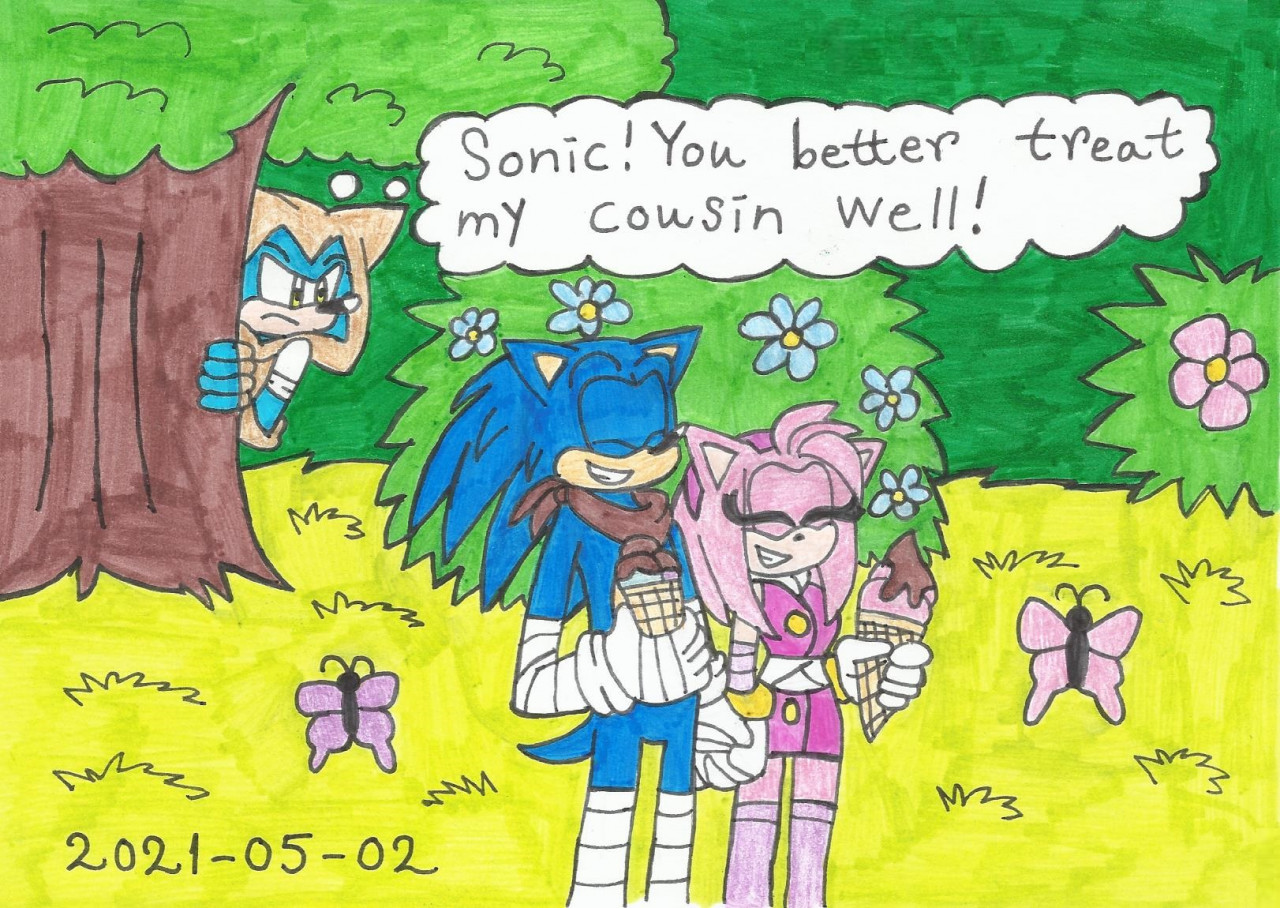 Sonamy Boom  Sonic and amy, Sonic boom, Hedgehog art