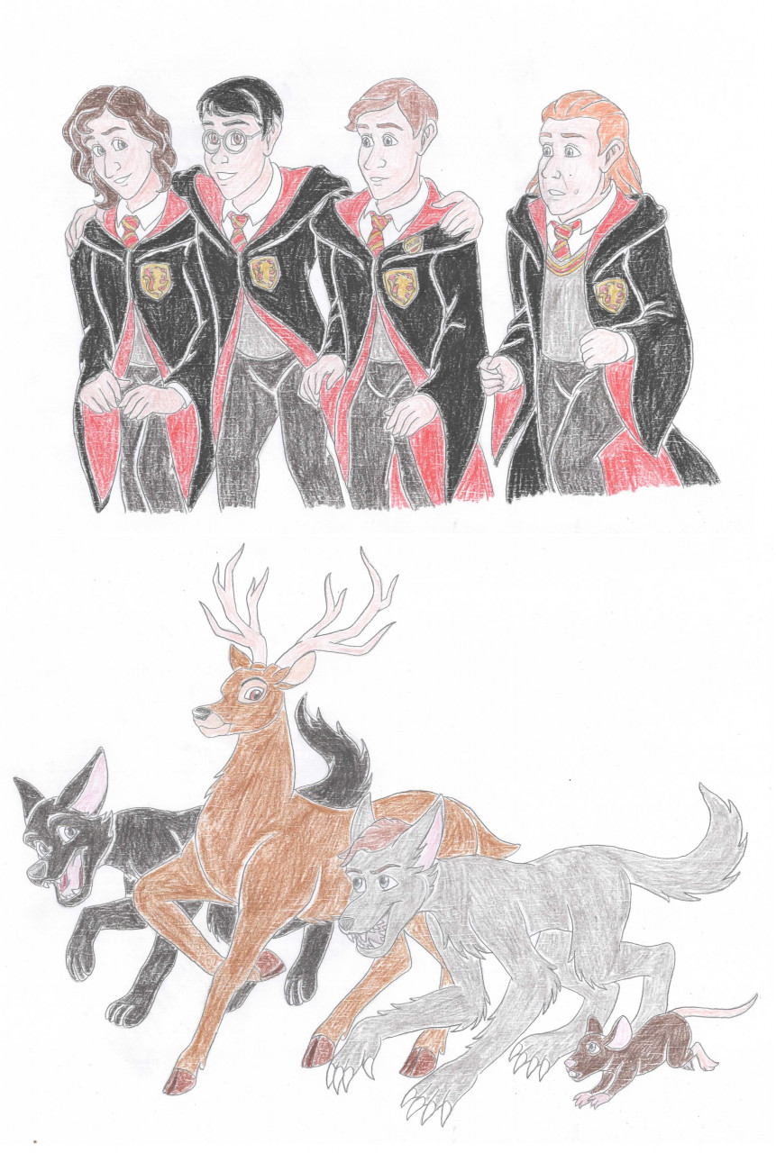 Moony Wormtail Padfoot And Prongs Animagus