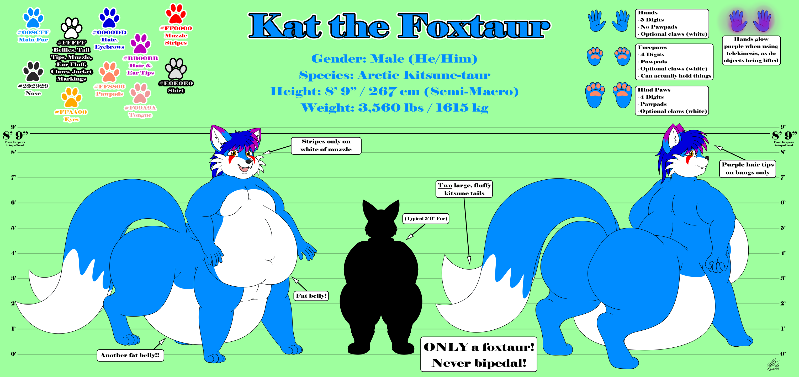 Kat the Foxtaur Reference (Alt) by KatTheFoxtaur -- Fur Affinity [dot] net