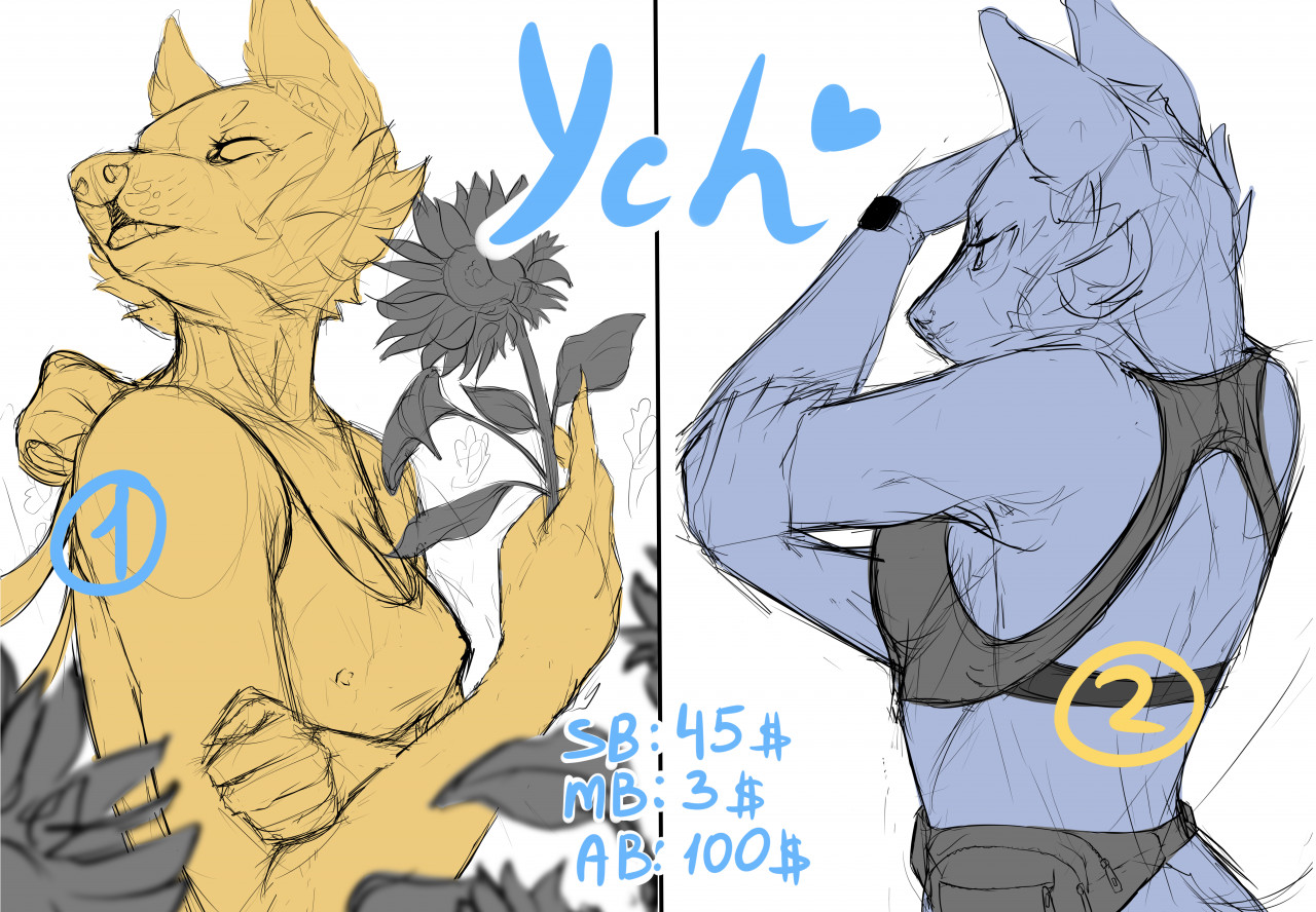 YCH 13