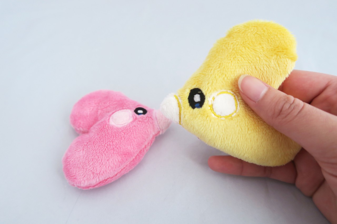 Luvdisc plush best sale