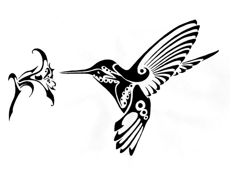 Hummingbird Tattoo by KBtothaBT  Fur Affinity dot net
