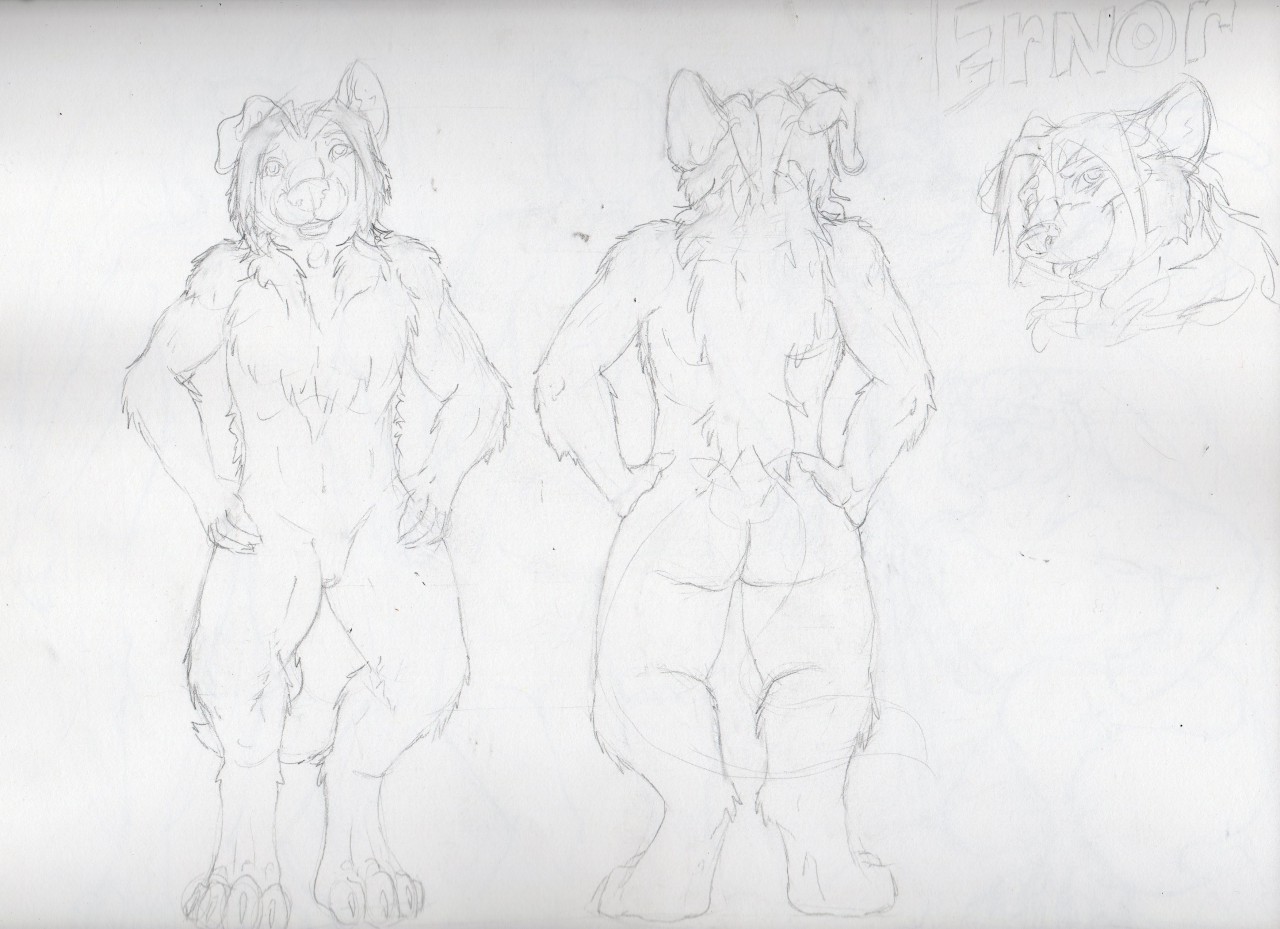 Ernor Reference Approval