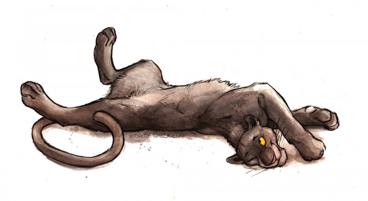 Shere Khan Baloo Kaa Drawing The Jungle Book PNG Clipart Ani Bagheera  Baloo Big Cats Carnivoran