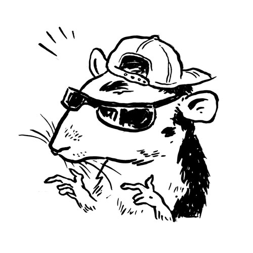 Cool Rat by kentonlikesrats Fur Affinity dot net