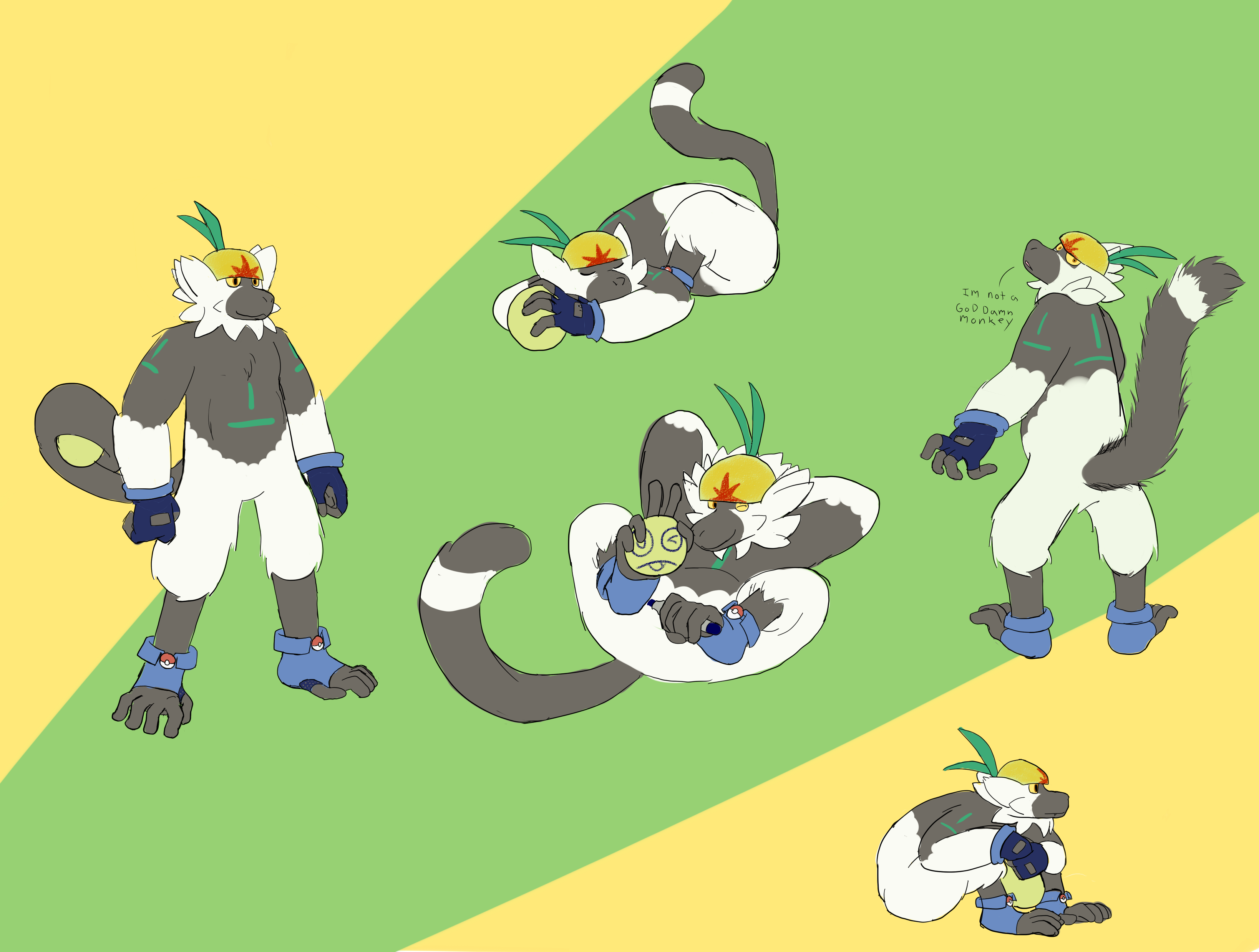 passimian uses electroweb