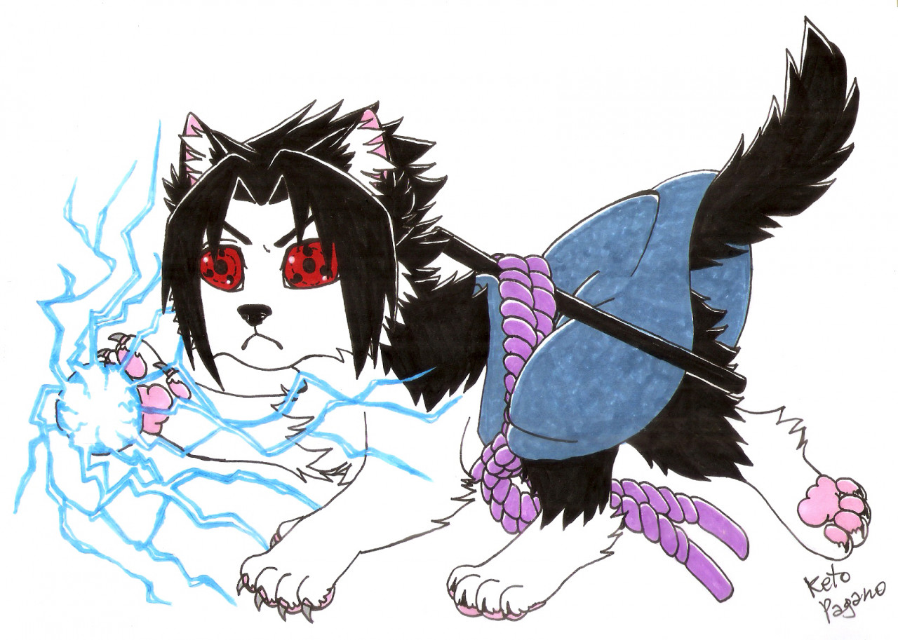 sasuke as a cat