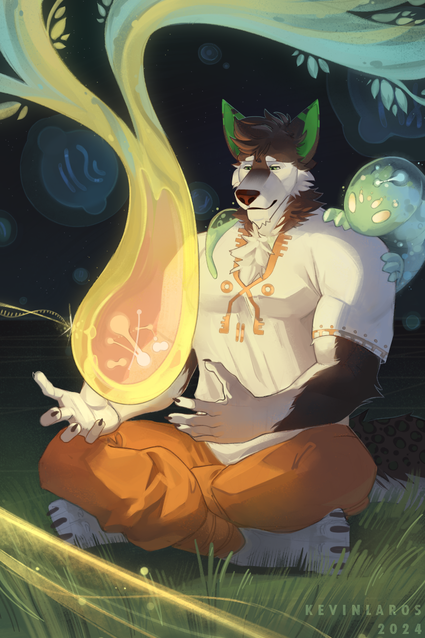 Emergence