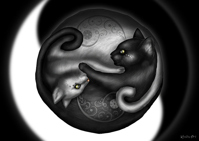 Illustration Yin Yang cats