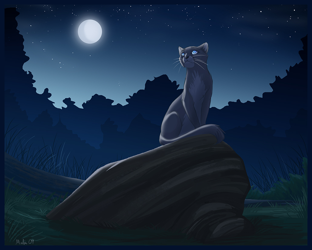 Warrior Cats - Bluestar Artist