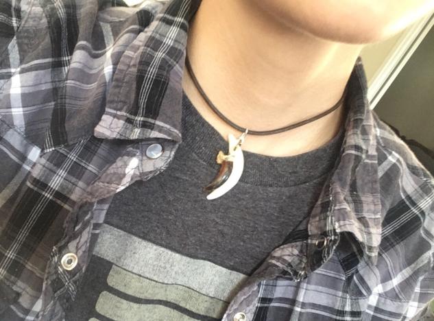 coyote tooth necklace