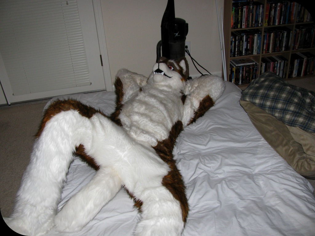 Virgil Pic 5 of 5 (Shameless Crotch Shot) by Kiteless -- Fur Affinity [dot]  net