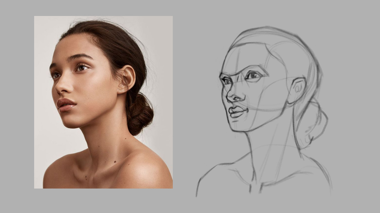 How to Draw Heads | Female Portraits - Drawing in the Face