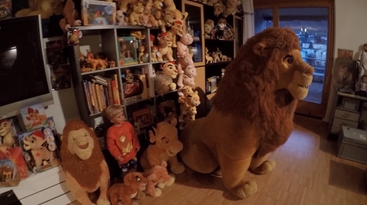 Lion lion deals toy videos