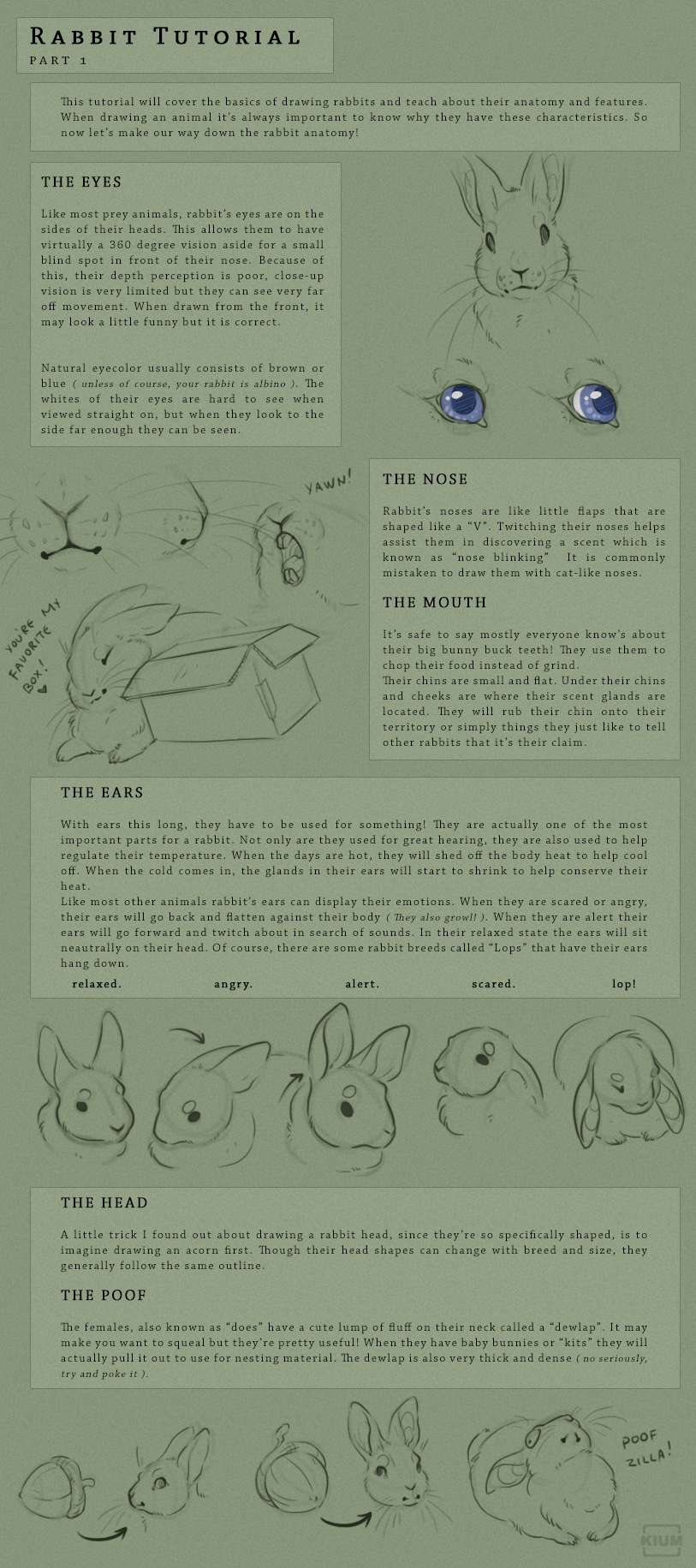 How to draw rabbit easy and step by step learn drawing with draw easy | Rabbit  drawing easy, Rabbit drawing, Bunny drawing