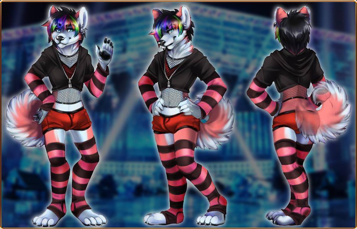 Klace husky