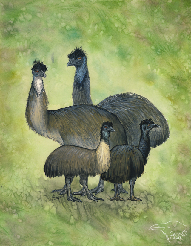 1362893225.korppi_emu_painting_wtrmrk.jpg