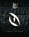 Axis of Conflict - Chapter 1: New Forever