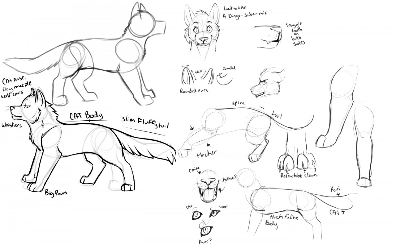 Featured image of post Wolf Ears Drawing Reference