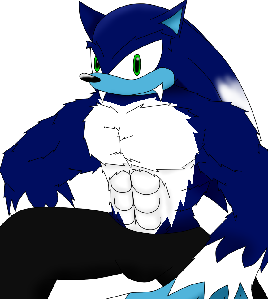 Sonic The Werehog (Made From Base). 