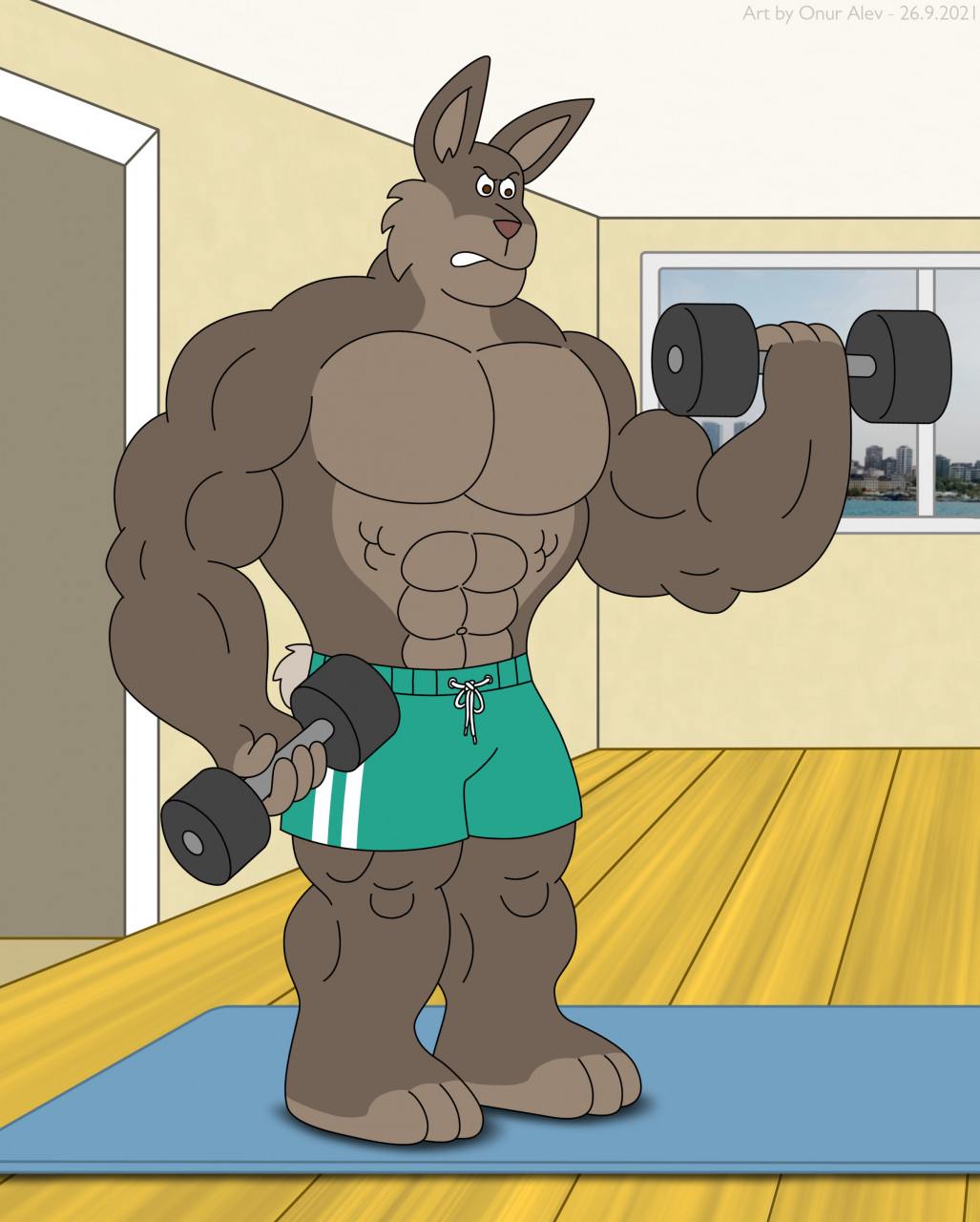 Muscular male rabbit, Gallery