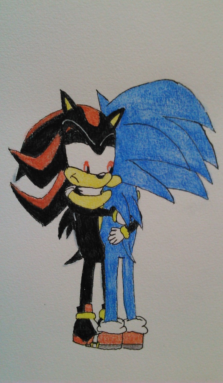 Sonic Hugging Shadow