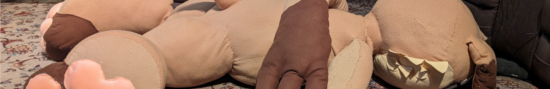 Profile Banner image