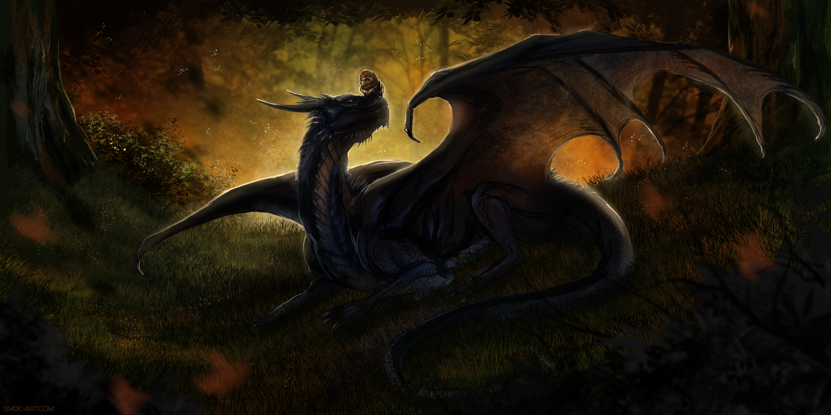 Песня черный дракон. Черный дракон в лесу. Чёрный дракон лежит. Дракон на Поляне. Черный дракон с янтарными глазами.