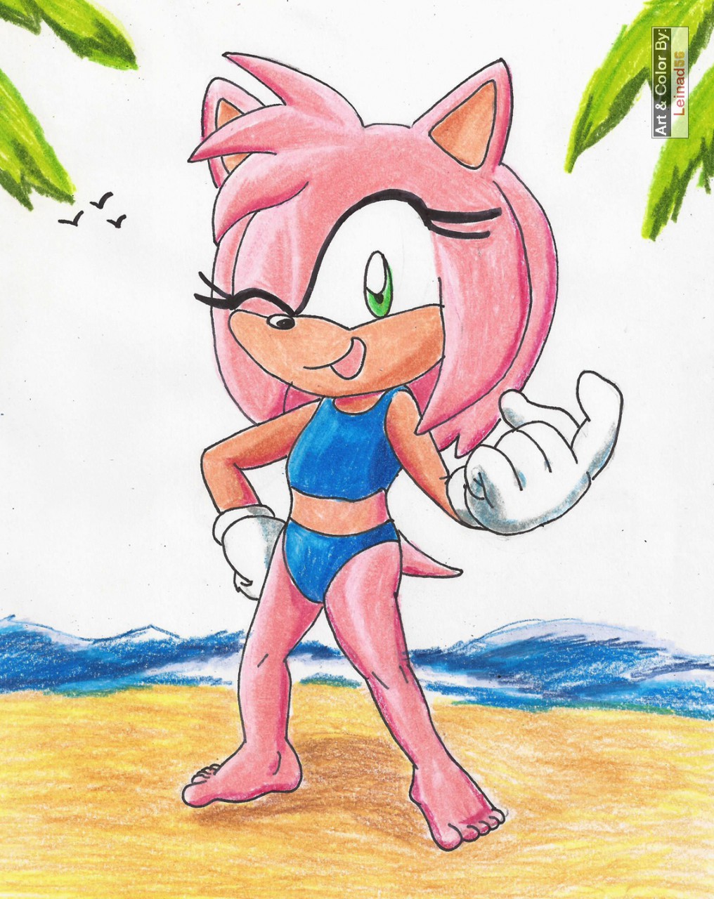 Amy Rose on the beach by leinad56 -- Fur Affinity [dot] net