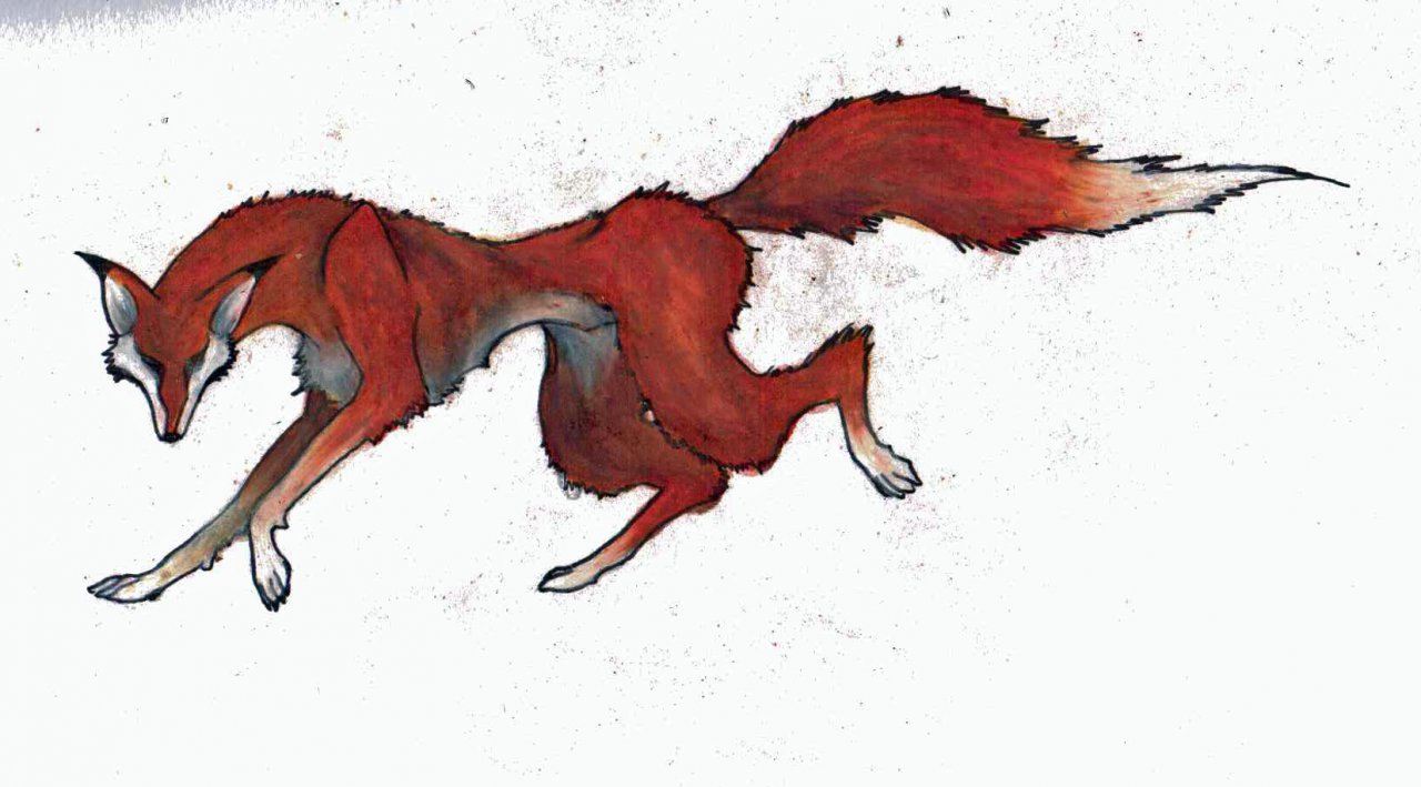 running fox drawings