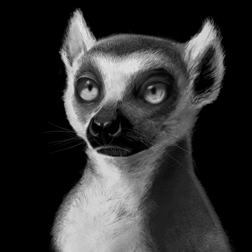 Lemur :D