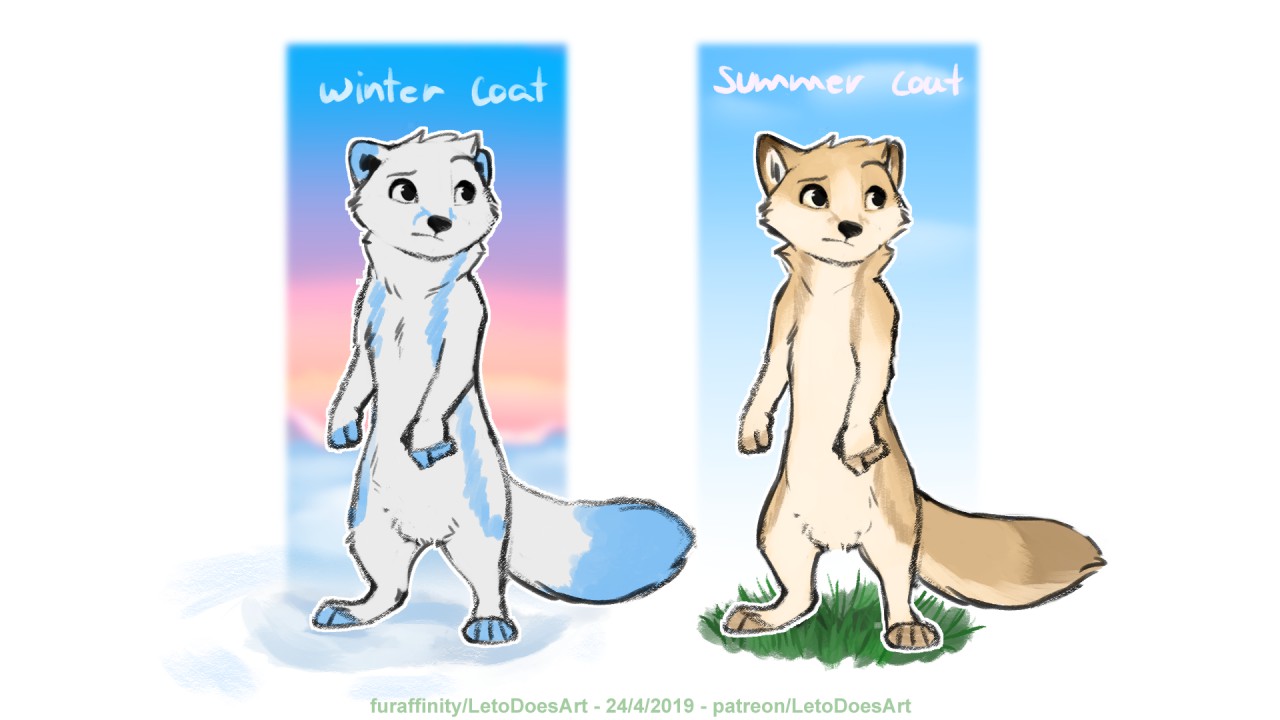 arctic fox summer coat vs winter coat