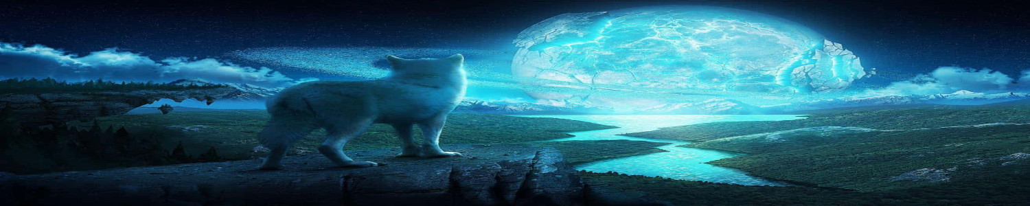 Profile Banner image