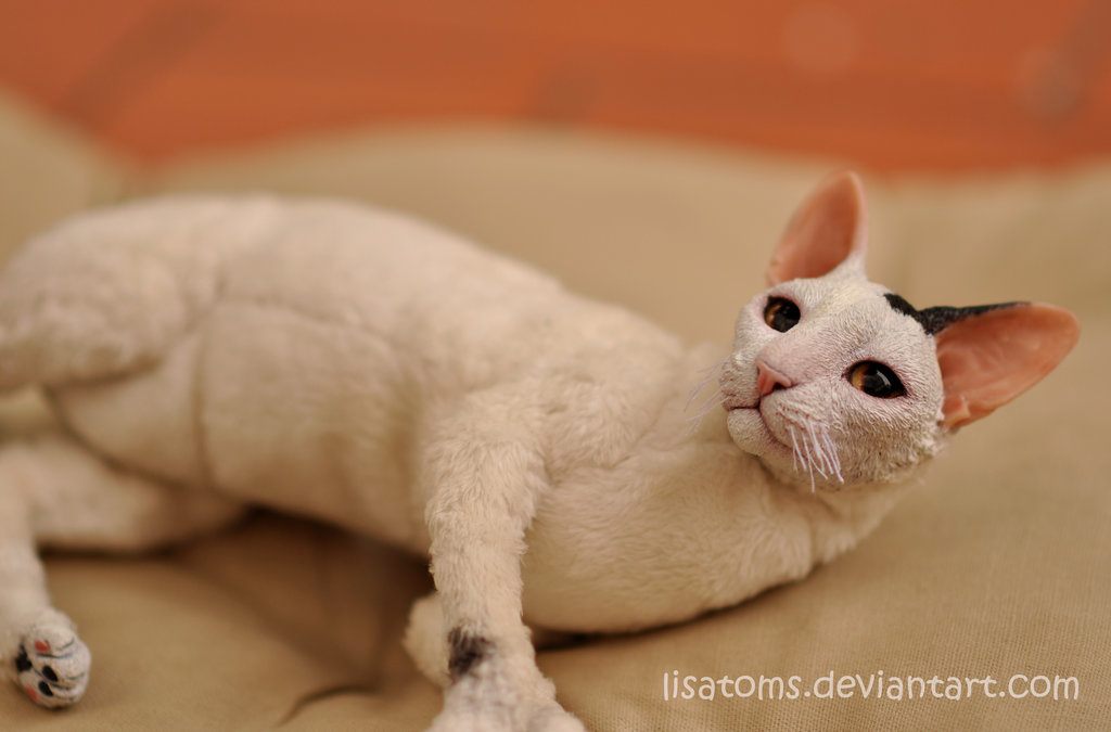 Cat art doll new arrivals