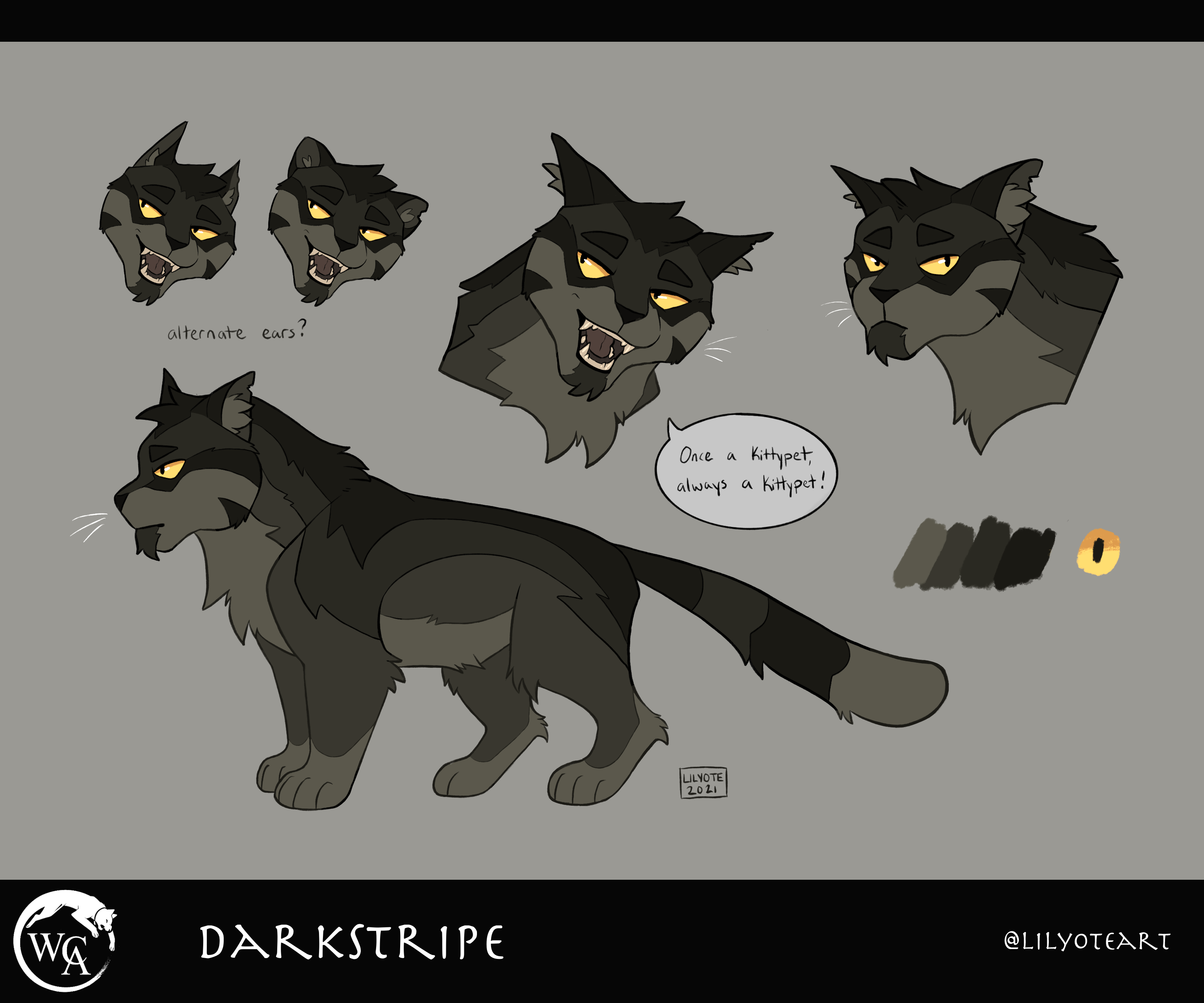 darkstripe warrior cats