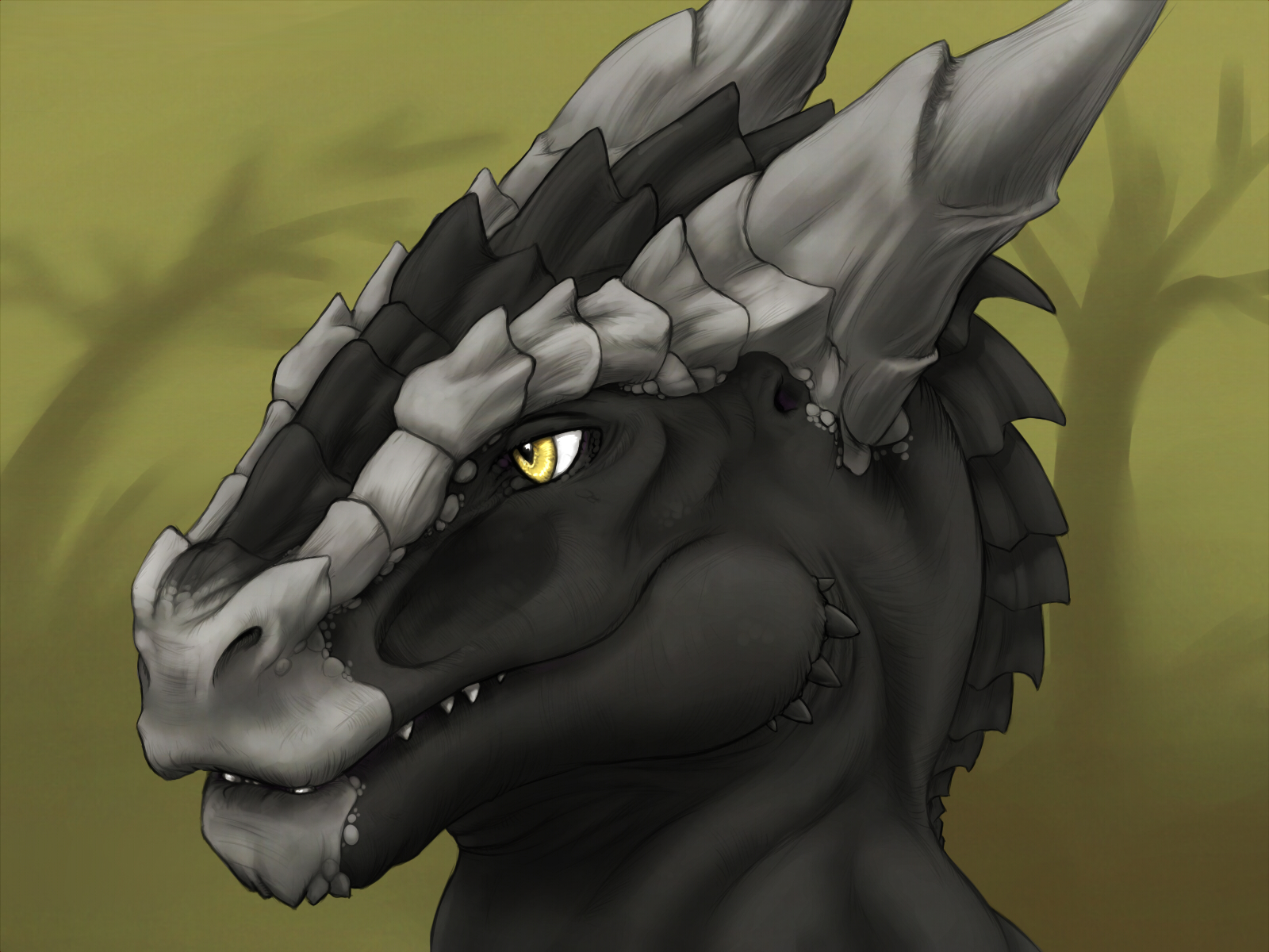black dragon head