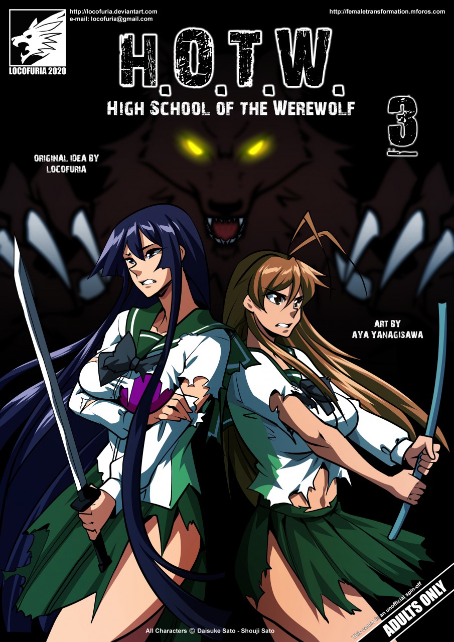 3 Highschool Of The Dead (Anime) Art