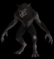 Xander & Yuma's Werewolf Transformation {Transformation Audio