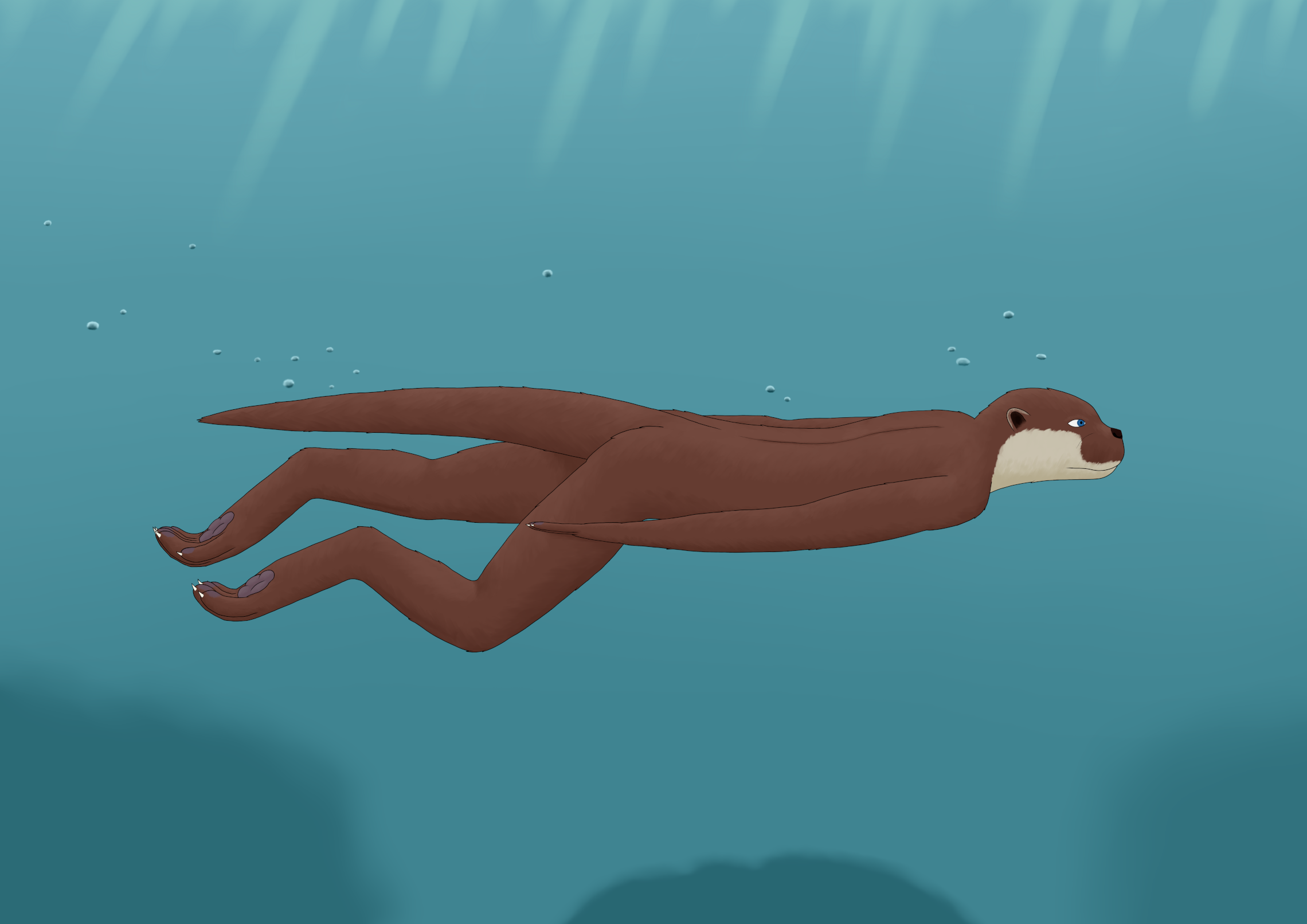 sea otter swimming underwater