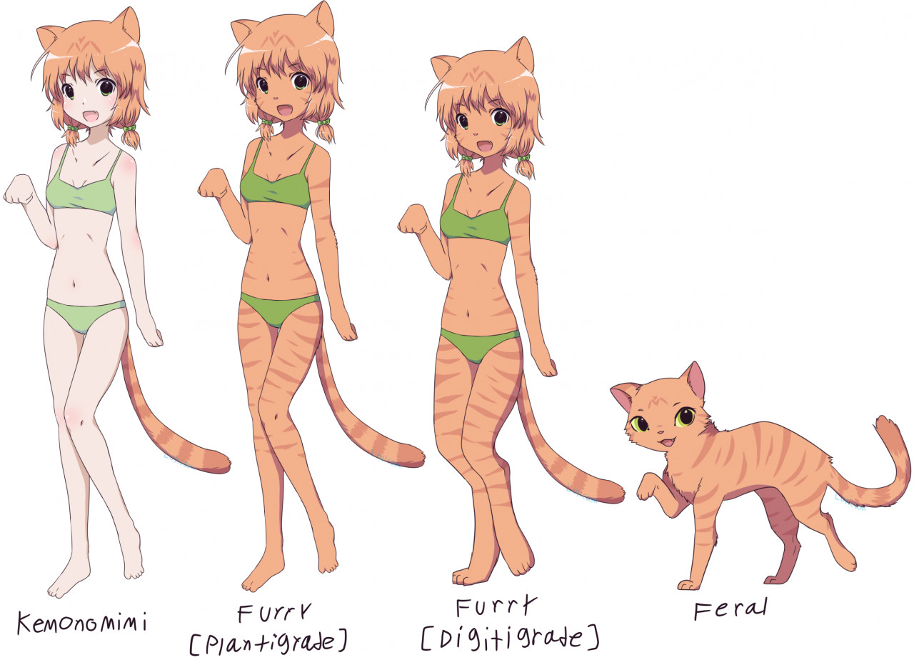 Kemonomimi - WikiFur, the furry encyclopedia