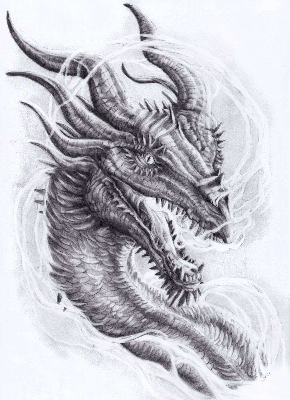 Hand Drawn Chinese Dragon Tattoo Design Stock Illustration  Illustration  of drawn asian 95064613