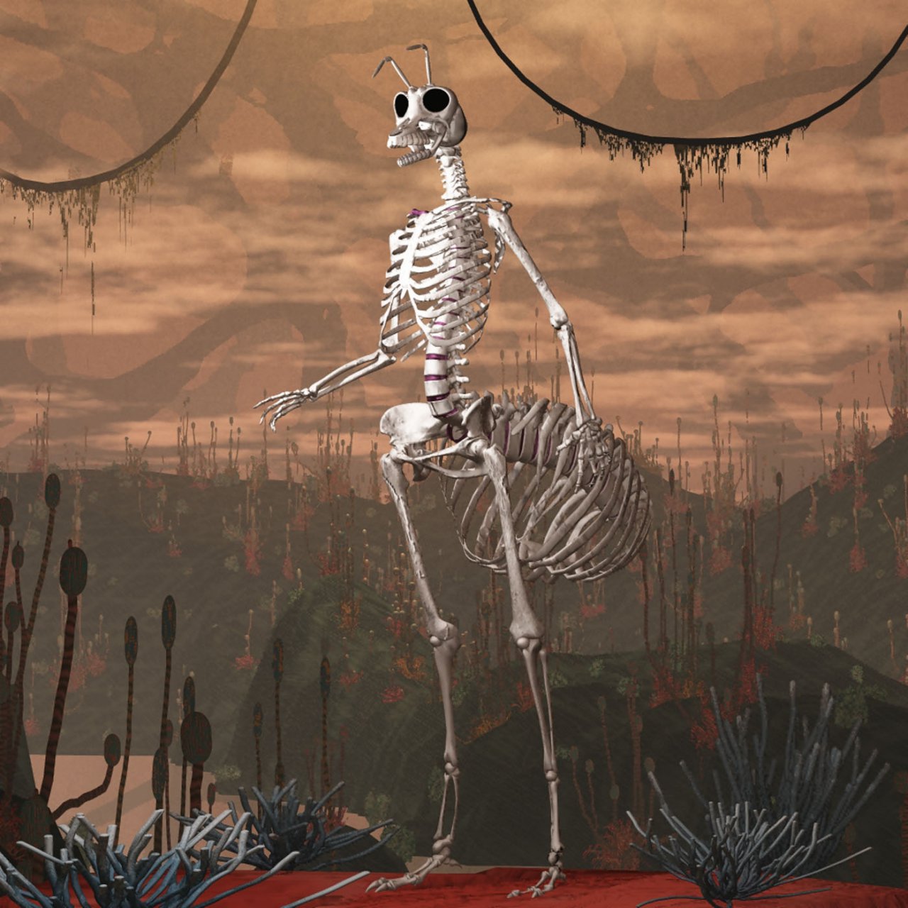Авантюрист перевоплощается в скелета. Скелет насекомых. Скелет комара. Скелет пчелы.