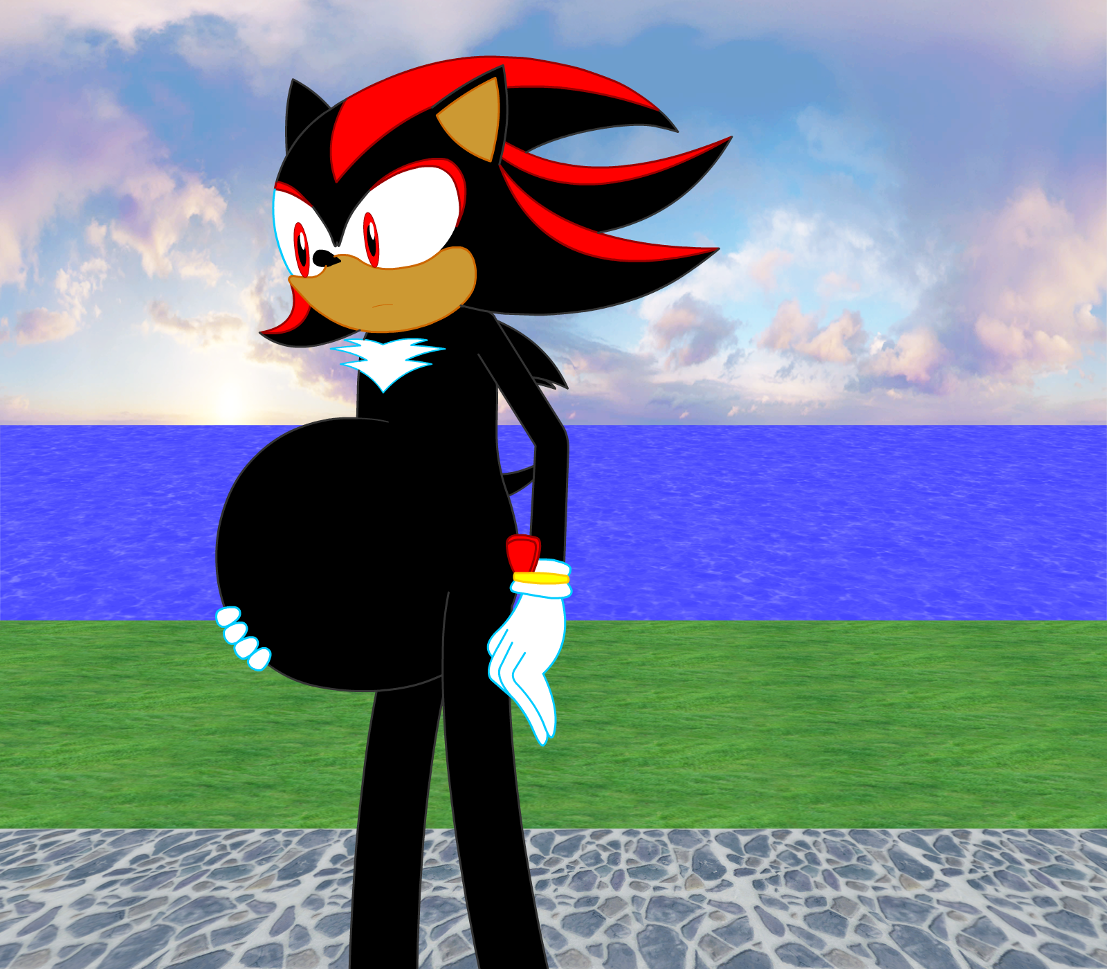 Shadow The Hedgehog Mpreg