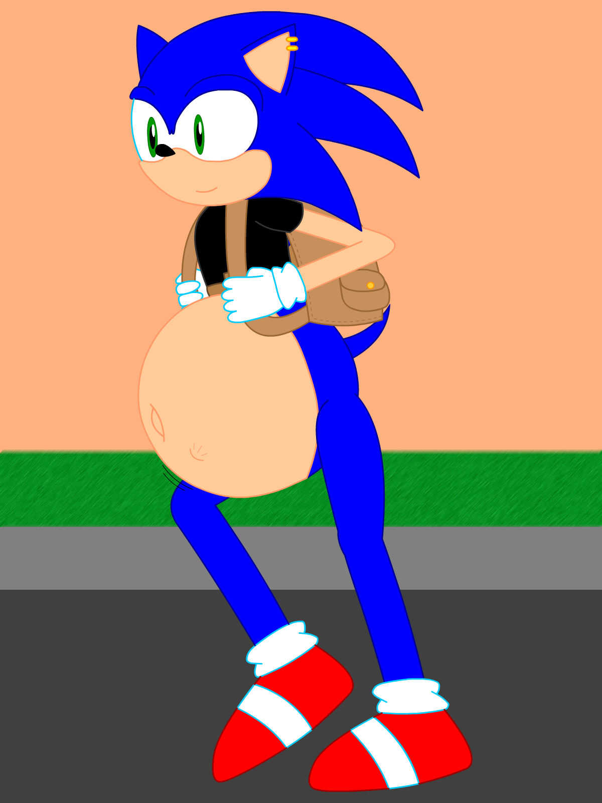 Mpreg sonic