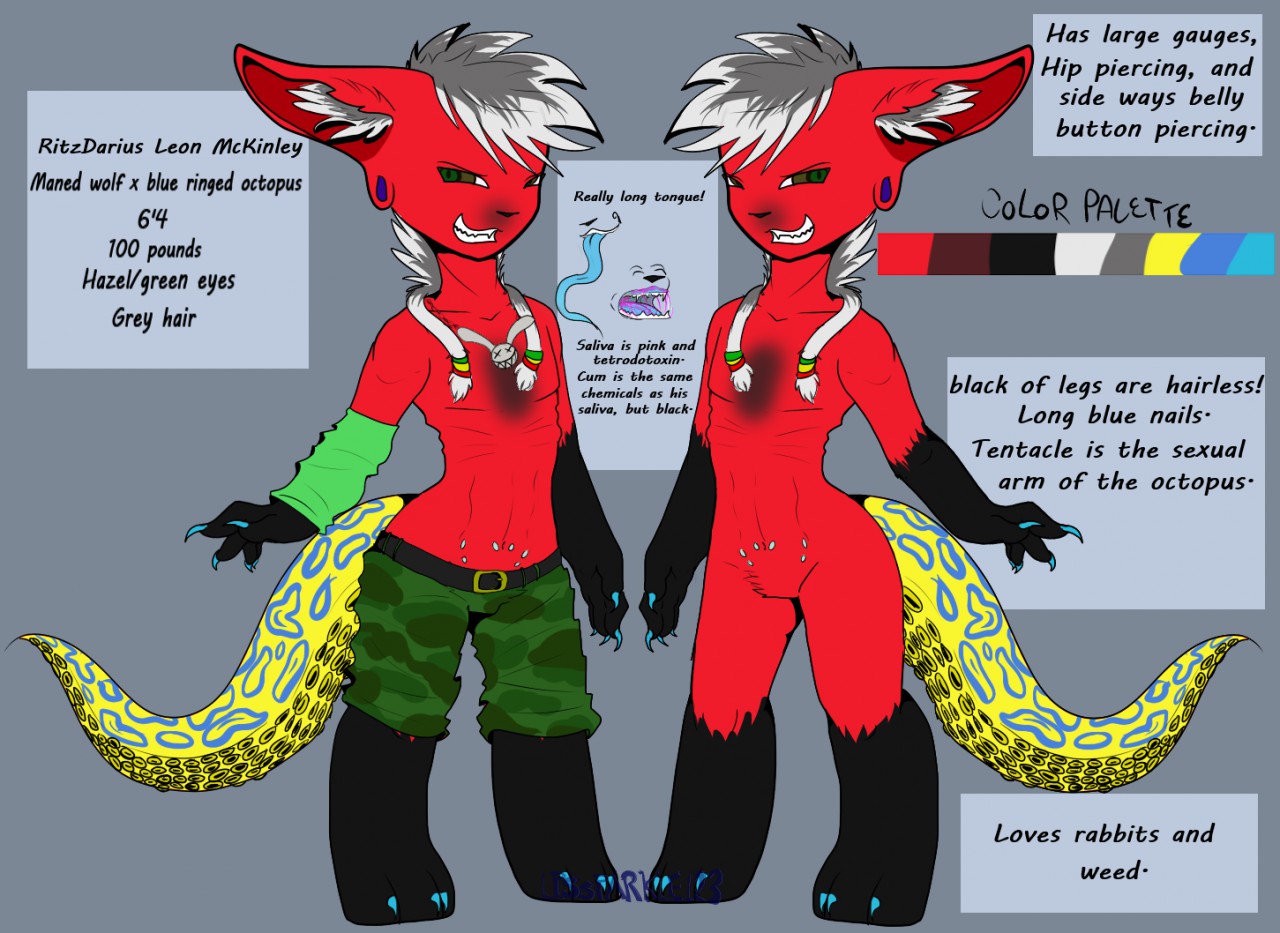 REFERENEC) Luison by Kreyxicat -- Fur Affinity [dot] net