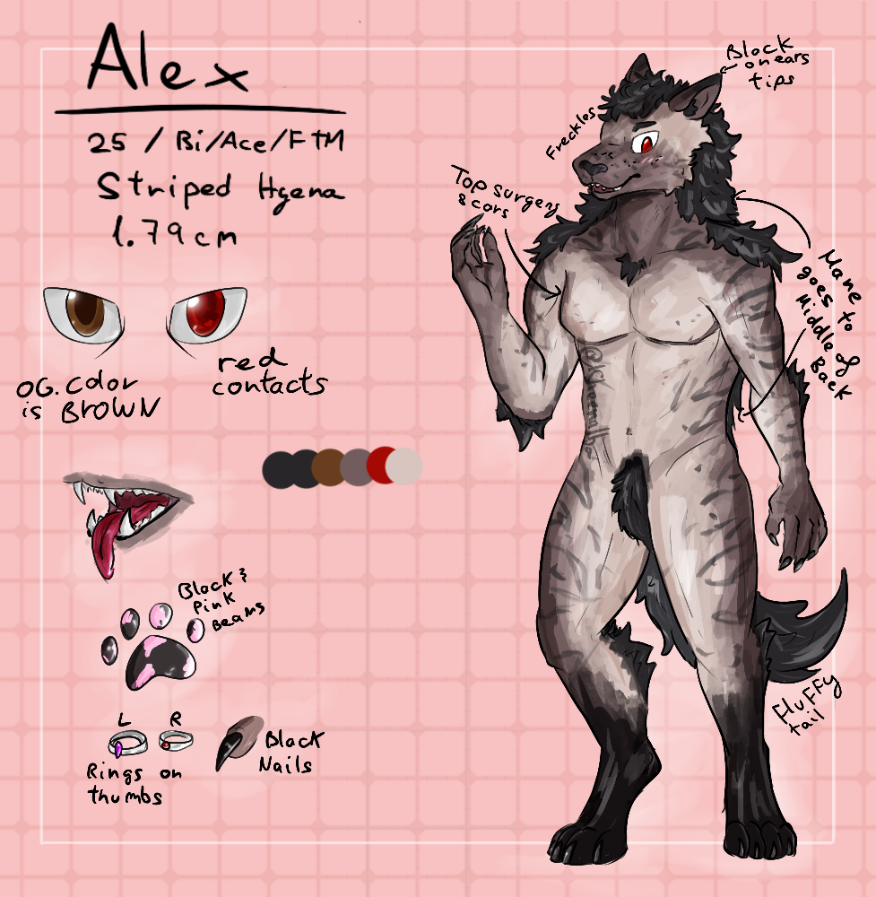 Alex the Hyena ref sheet by lSheena -- Fur Affinity [dot] net