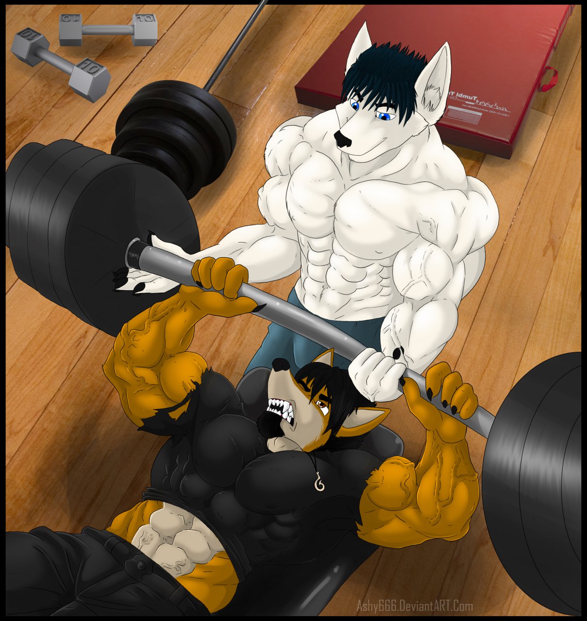 Muscle growth Wolf