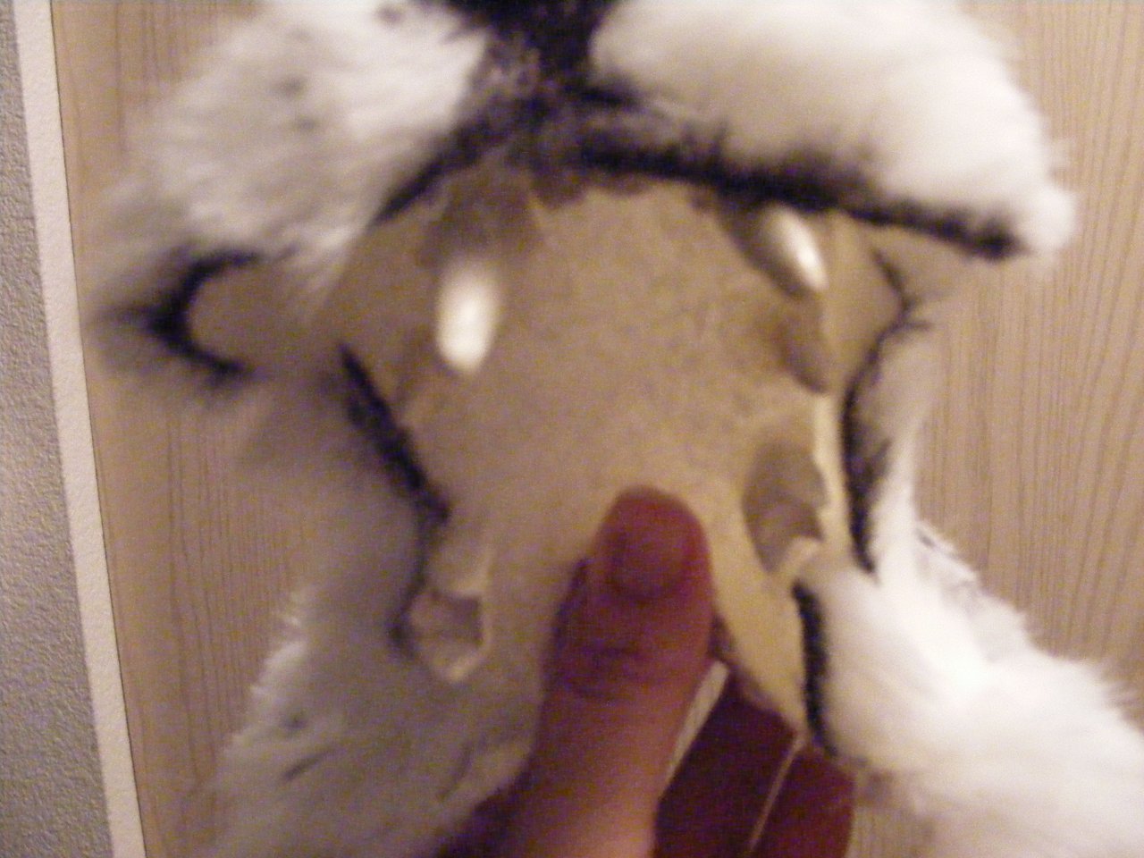 Therian wolf mask