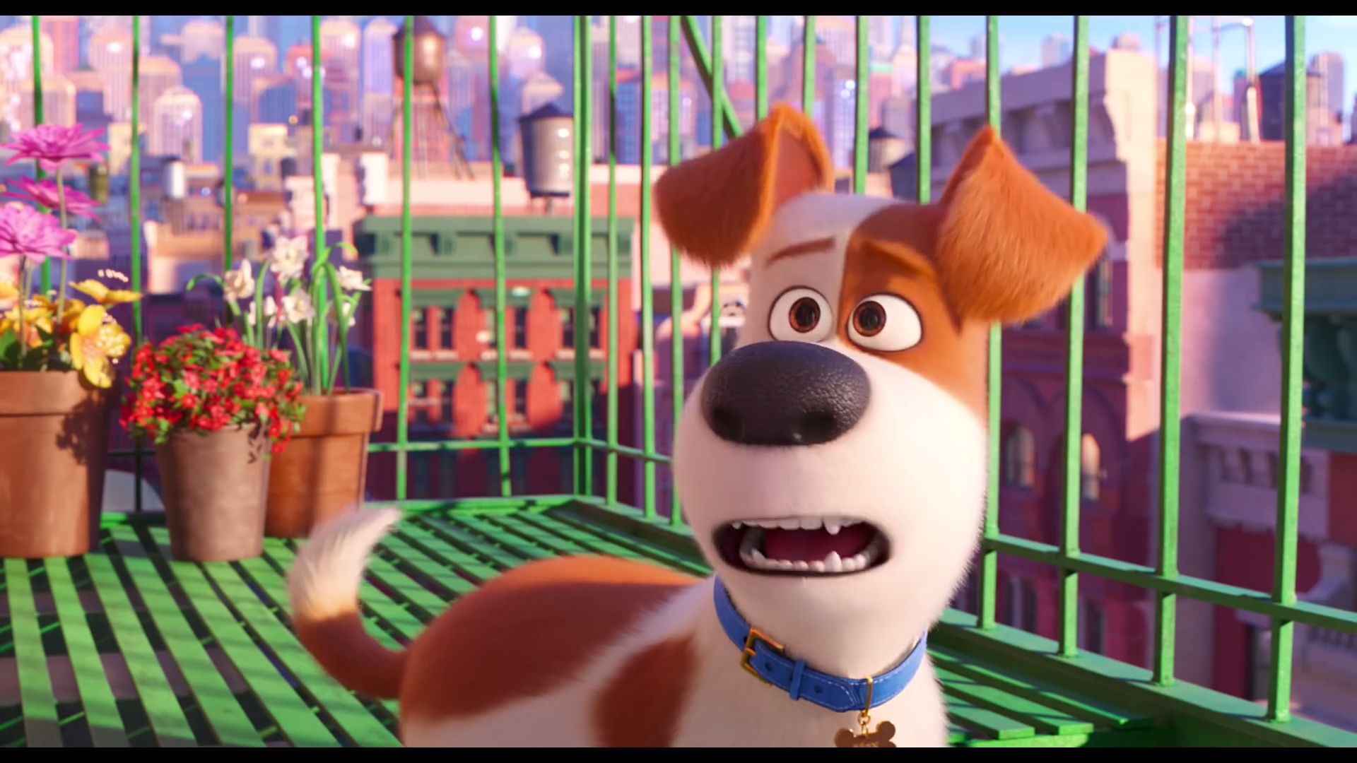 Животное 2 трейлер. Трейлер Тайная жизнь домашних животных 2. The Secret Life of Pets 2 2019.