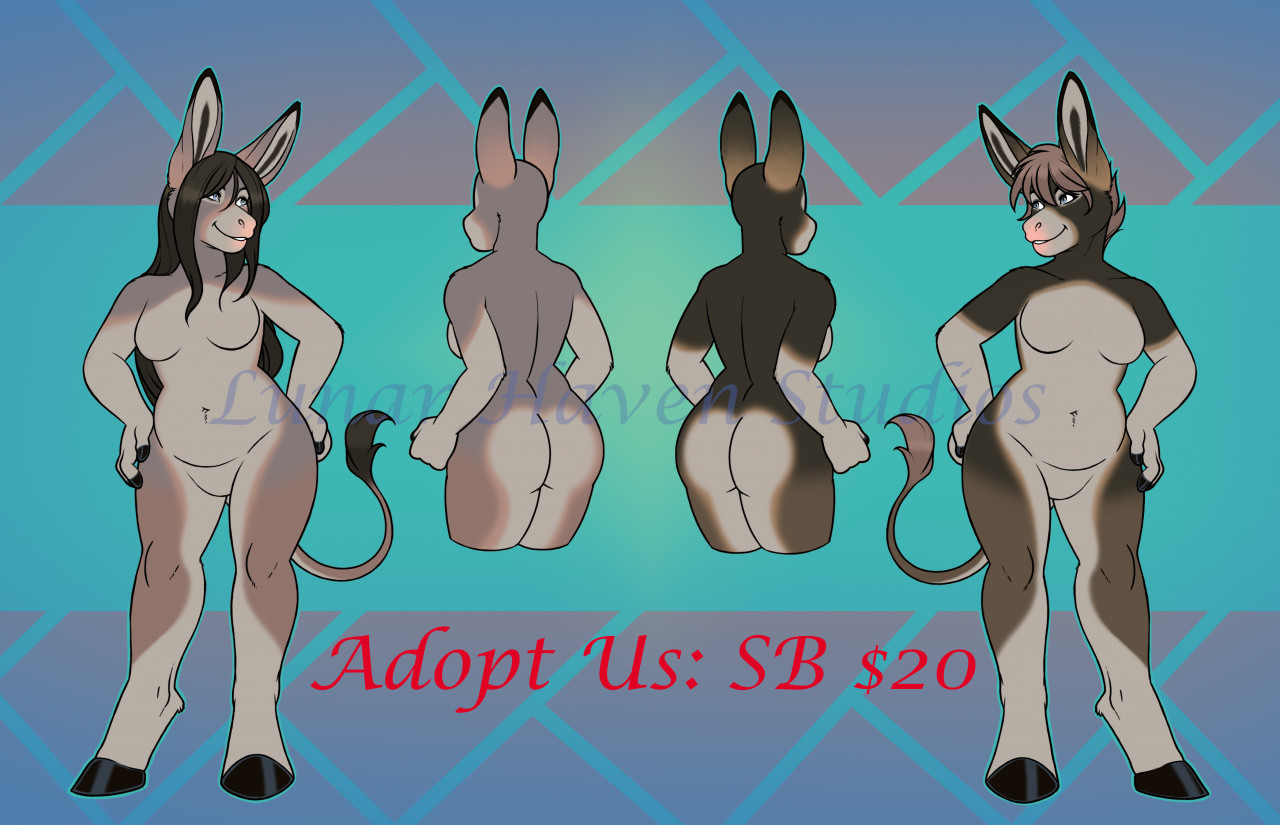 Donkey Gals ADOPTS SOLD by Lunar-Haven-Studios -- Fur Affinity [dot] net